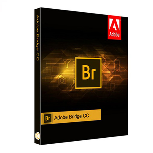 Adobe Bridge CC 2020 Logo